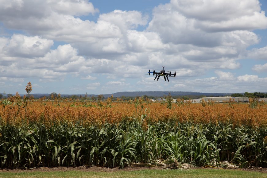 Driving the transition to Agriculture 4.0